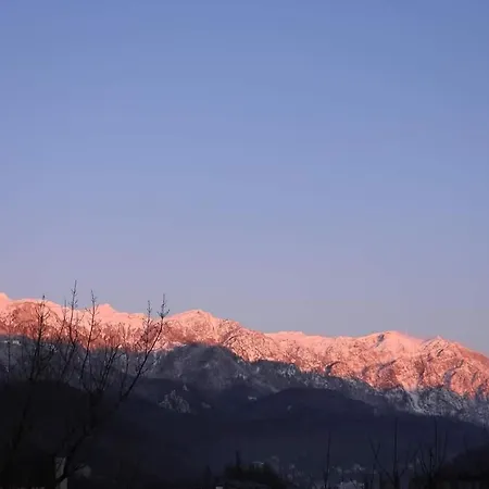 Alpineview