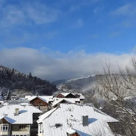 Alpineview *